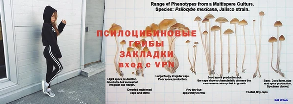 2c-b Арсеньев