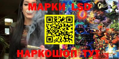 гидропоника Заволжье