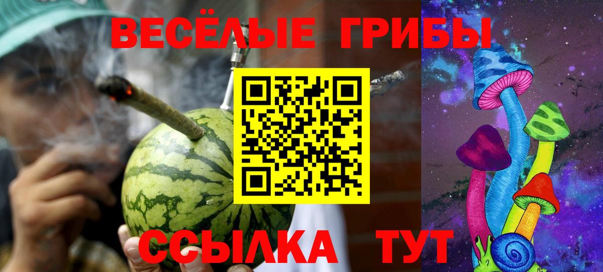 Можга  Галлюциногенные грибы MAGIC MUSHROOMS  Галлюциногенные грибы мицелий  Вход с VPN 